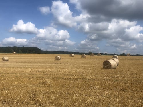 Die Otterbacher Runde