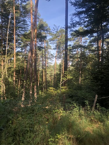 Die Otterbacher Runde