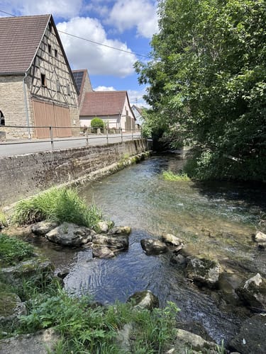 Rundwanderung von Laudenbach