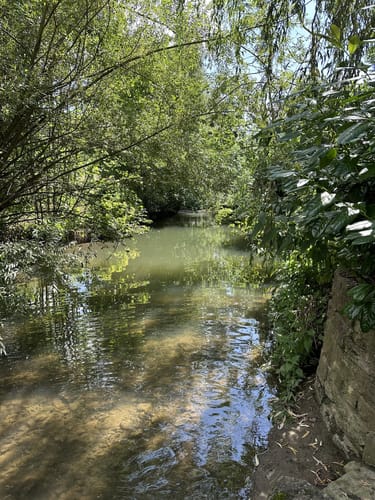 Rundwanderung von Laudenbach