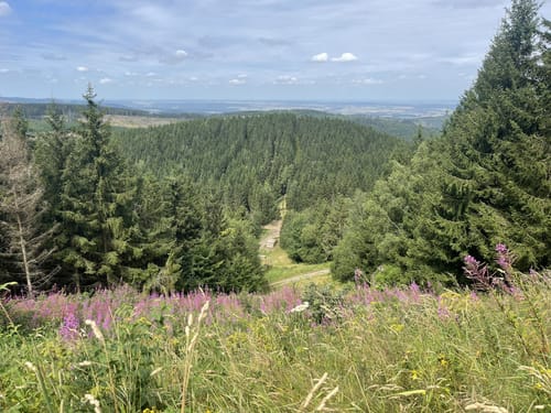 Liebesbankweg (Premiumwanderweg)