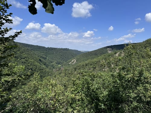 Ehrbachklamm (Traumschleife)