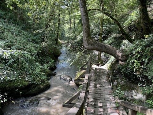 Ehrbachklamm (Traumschleife)