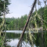 Angleworm Lake Trail, Minnesota 108 Reviews, Map AllTrails