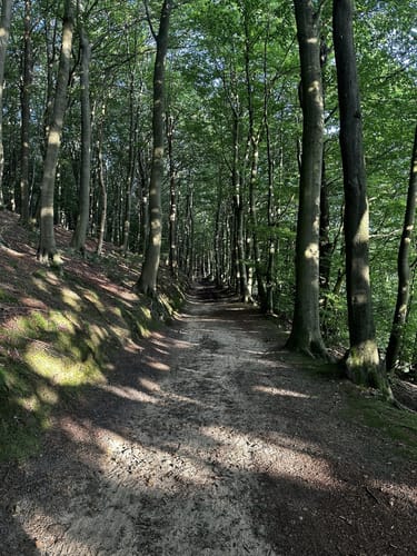 Bergweltenweg