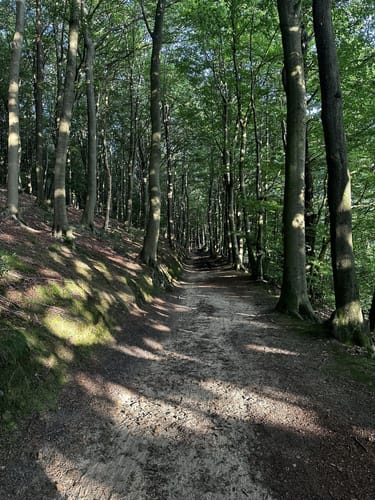 Bergweltenweg