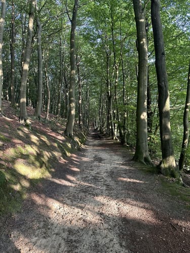 Bergweltenweg