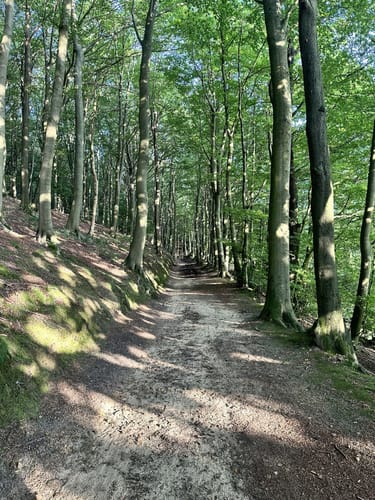 Bergweltenweg