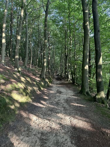 Bergweltenweg