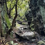 Sand Cave and White Rocks via Ewing Trail, Virginia - 1,239 Reviews ...