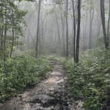 Sand Cave and White Rocks via Ewing Trail, Virginia - 1,209 Reviews ...