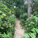 Pyramid Point Loop, Michigan - 1,254 Reviews, Map | AllTrails