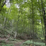Pyramid Point Loop, Michigan - 1,254 Reviews, Map | AllTrails