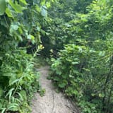 Pyramid Point Loop, Michigan - 1,254 Reviews, Map | AllTrails