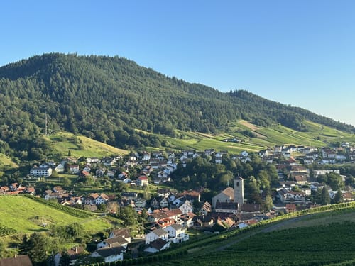 Neuweierweg zum Büchelberg