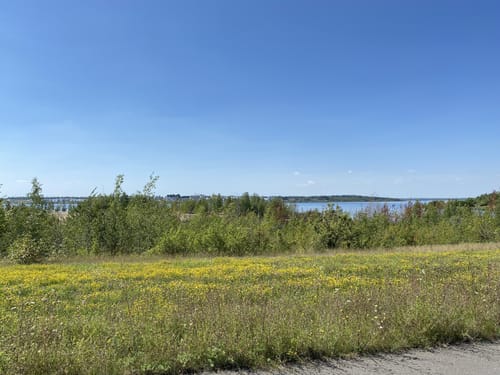 Rund um den Zwenkauer See