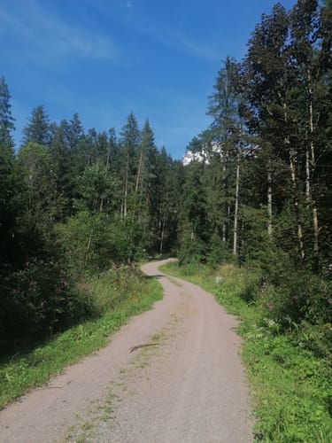 Runde am Wolfsteich
