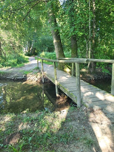 Um den Ilmensee
