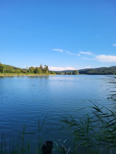 Um den Ilmensee