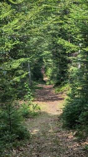 Rundweg Flusskrebs