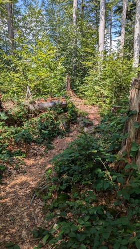 Rundweg Flusskrebs