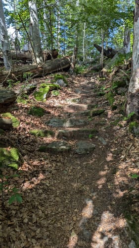 Rundweg Flusskrebs