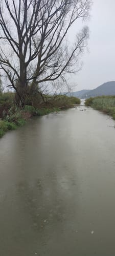 Premiumweg SeeGang Etappe 1: Überlingen - Sipplingen