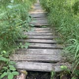 Nut Point Trail, Saskatchewan, Canada - 99 Reviews, Map | AllTrails