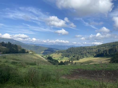 Nonnenmattweiher ab Kreuzweg