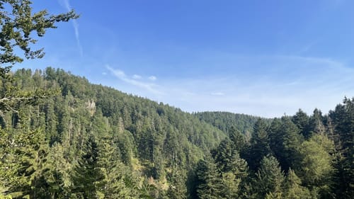 Albsteig Schwarzwald Etappe 1: Albbruck – Görwihl
