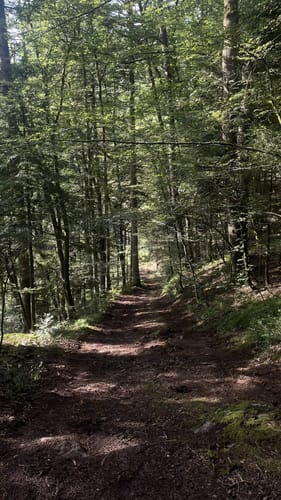 Albsteig Schwarzwald Etappe 1: Albbruck – Görwihl