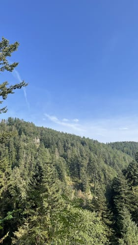 Albsteig Schwarzwald Etappe 1: Albbruck – Görwihl