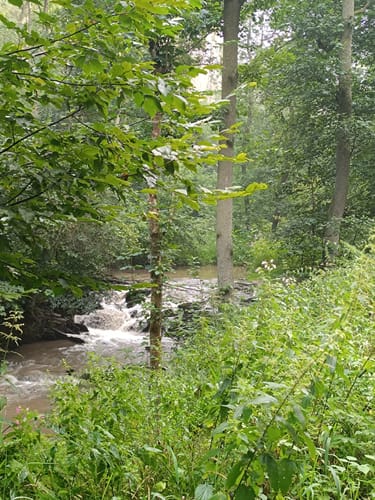 Emsbach-Wörsbach-Radweg