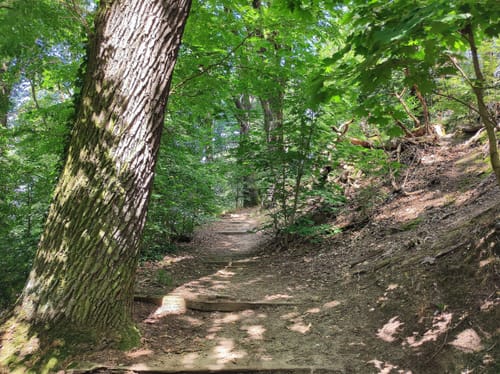 Düppeler Forst Uferpromenade