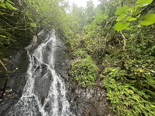 V Falls via Likeke Trail, Oahu, Hawaii - 517 Reviews, Map | AllTrails