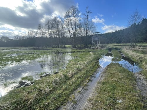 Wittwesee - Kölpinsee - Großer Tietzensee