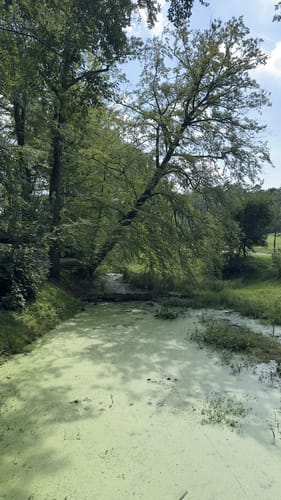 Witte Veen 3 (Ahaus Nr. 14)