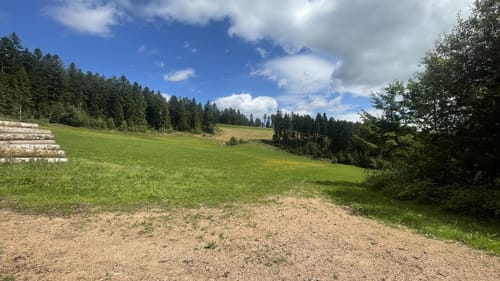 Albsteig Schwarzwald Ost (Fernwanderweg)