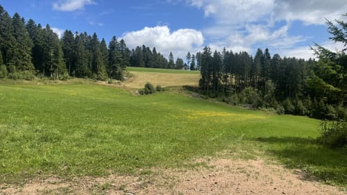Albsteig Schwarzwald Ost (Fernwanderweg)