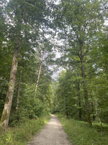 Hessentaler Planie und Einkorn