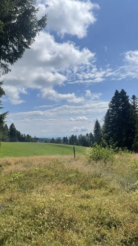 Albsteig Schwarzwald Ost (Fernwanderweg)