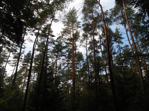 Lärmfeuer-Weg (Route 3)