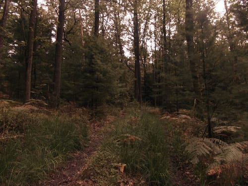 Lärmfeuer-Weg (Route 3)
