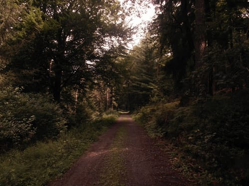 Lärmfeuer-Weg (Route 3)