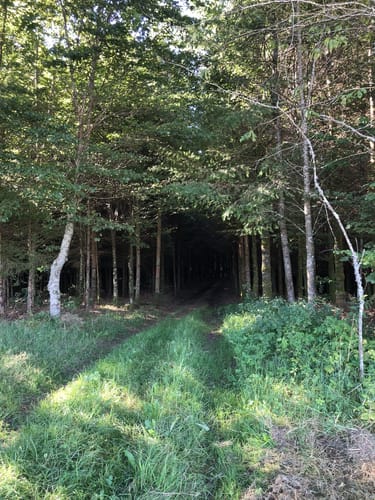 St. Roman Rundweg 18