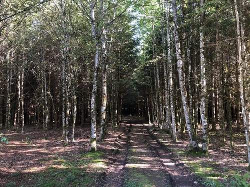 St. Roman Rundweg 18