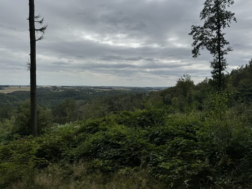 Rochlitzer Berg
