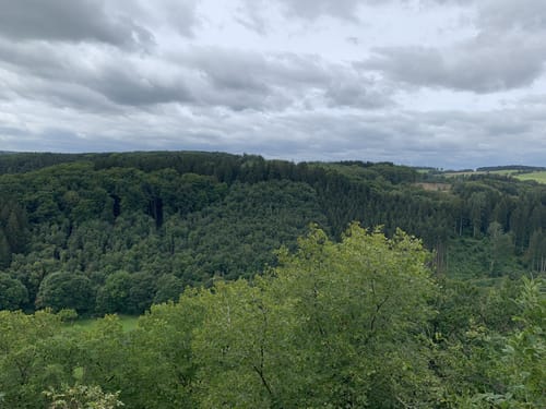 Sötenich: Wanderweg Nr. 6 Eifelverein