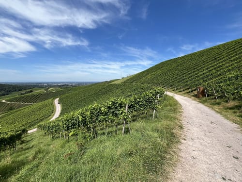 Alde Gott Panoramarunde (Genießerpfad)