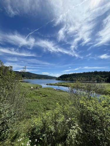 Schluchsee - Ostufer ab Unteraha